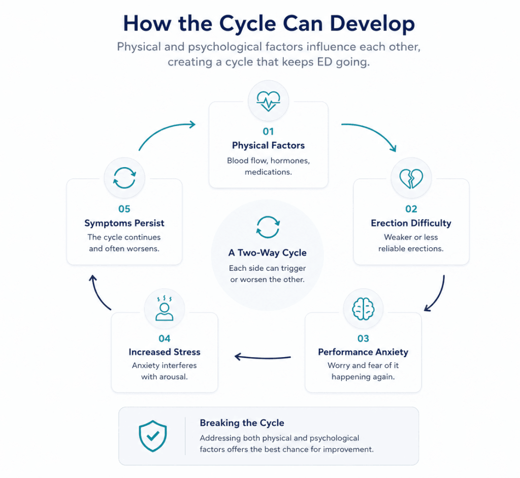 ED cycle infographic